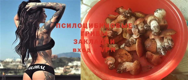 соль ск Алексеевка
